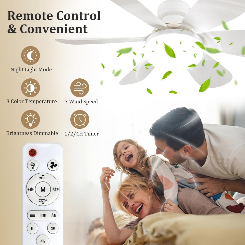Socket Fan Light