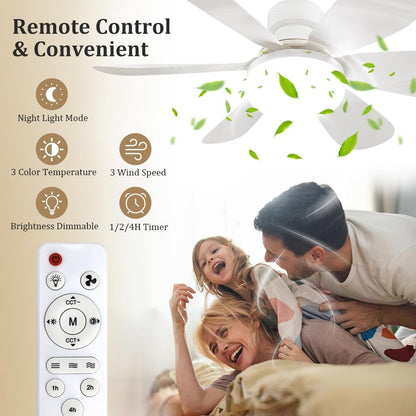 Socket Fan Light