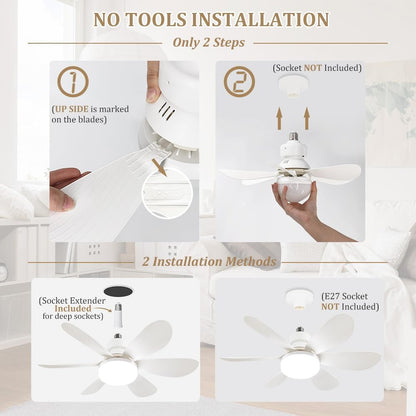 Socket Fan Light