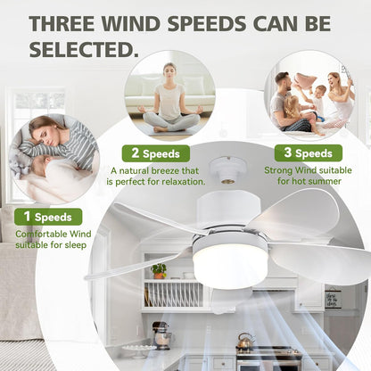 Socket Fan Light