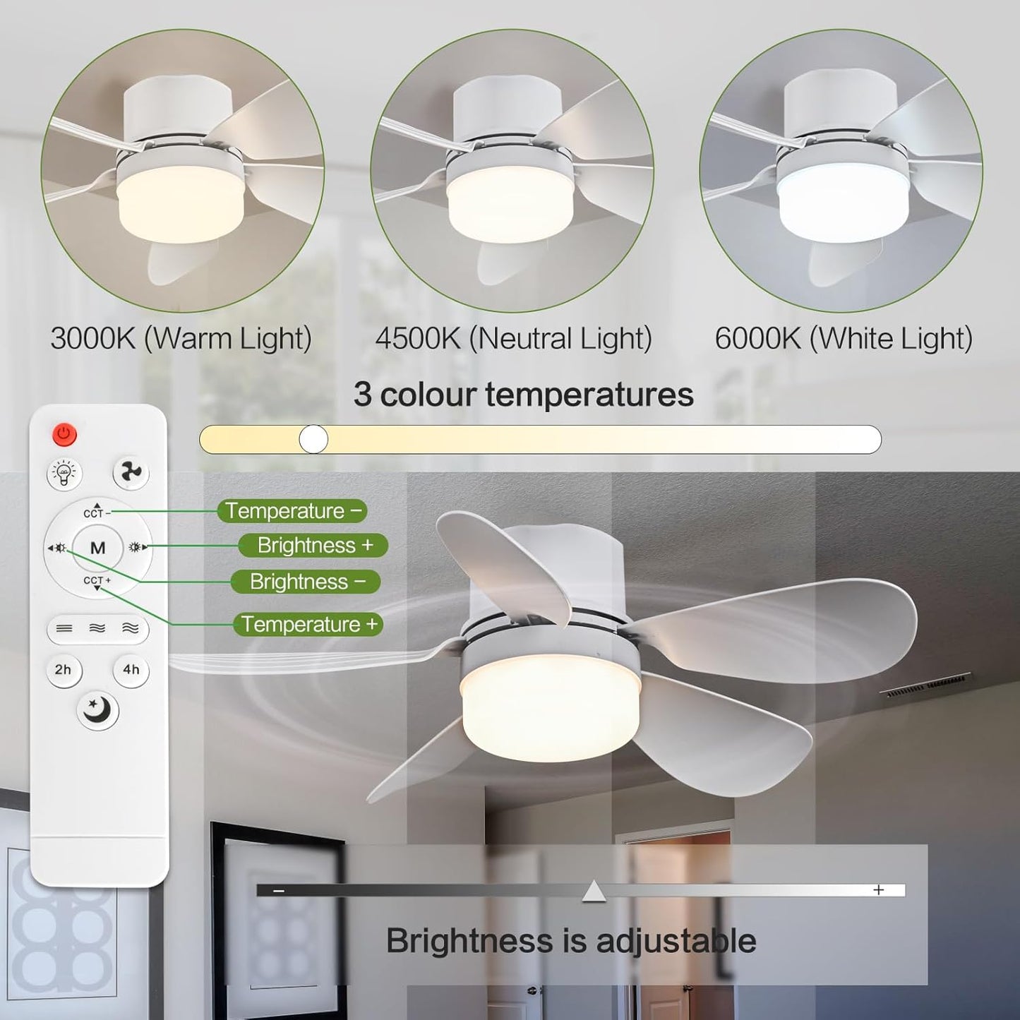 Socket Fan Light